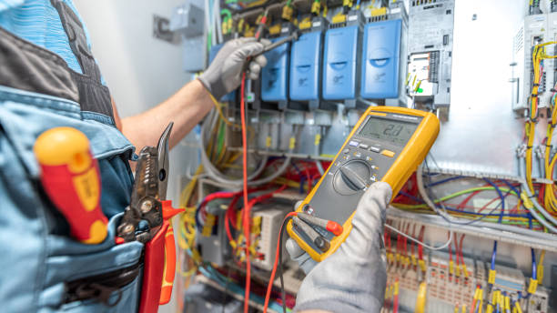 Best Electric Panel Repair  in Altoona, IA